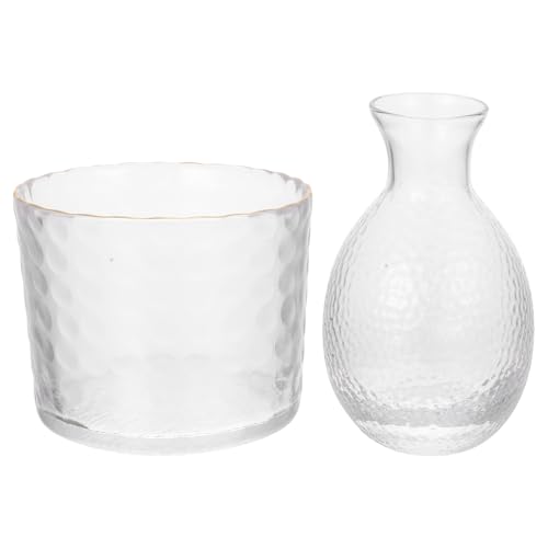 Conteneur à glace pour saké SOLUSTRE en verre facile à nettoyer - 2