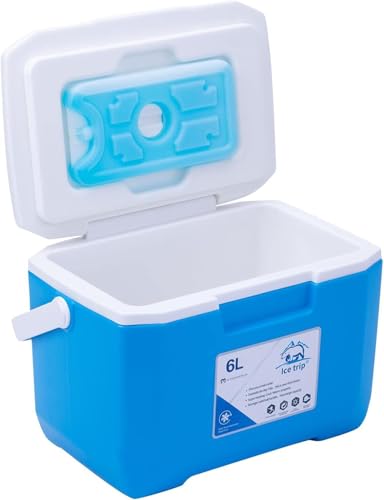 Dlwk 6L クールボックス ドリンク フード アイス用、6L クールボックス アイスパック1個付き 旅行 キャンプ ピクニック キャラバン クーラーボックス 断熱 クールボックス 冷凍庫ボックス & 小型クーラーボックス 8時間断熱 ピクニックボックス
