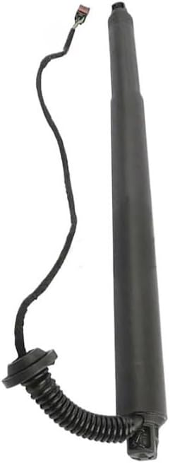 https://m.media-amazon.com/images/I/317jb5PH4RL._AC_.jpg?CTMPEmyGx94FHNcqa