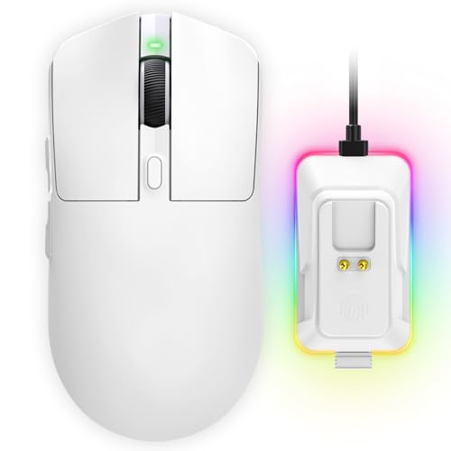Image of YPBDAN 24000 DPI Wireless Gaming Mouse with RGB Charging Dock