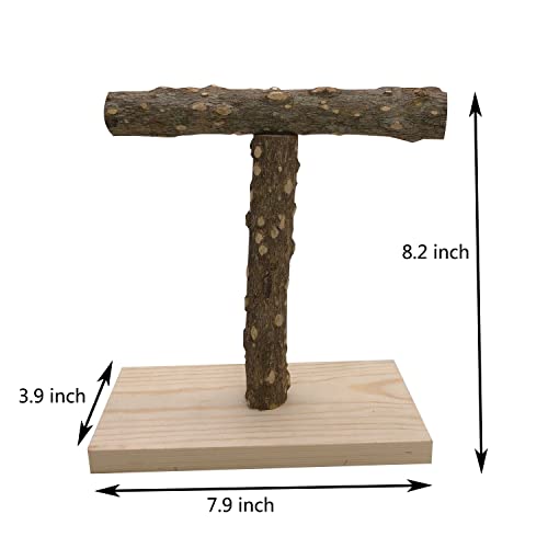 Image of YTLS Tee Bird Tabletop Training Stand，Portable Parrot Play Stands, Natural Wood Bird Cage Toys Gym Playground Cockatiel Playground Wood Perch Gym Playpen for Small Medium Parakeets Conures Lovebirds