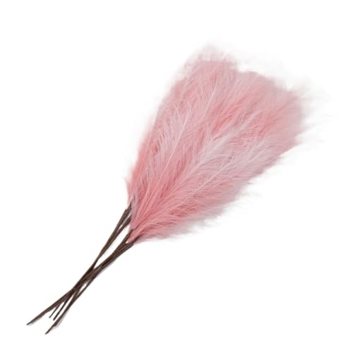 Ramo de Hierba Pampas Natural 42cm 1 unidad miniatura 7
