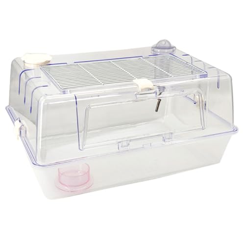 lyyffsqcsj nX^[ P[W 傫 SʃNA S  P[W P[X  [߃gC ЎXCb` ̐^ K ֗ ϋv ʂ悢 S[fnX^[ bg K nlY~  ঒ p(