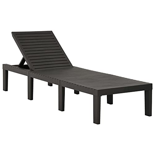 vidaXL Chaise Longue Bain de Soleil de Jardin Chaise Longue de Patio Transat de Terrasse Extérieur Arrière-Cour Plastique Anthracite