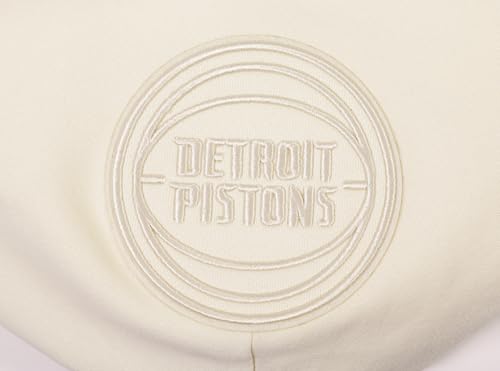 Image of Pro Standard Mens NBA Neutral Pull Over Hoodie