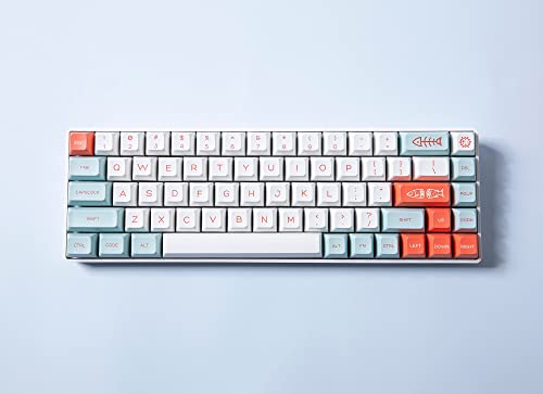 317kK20gfWL.jpg