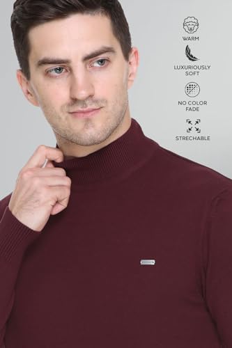 Image of GODFREY Woolen Full Sleeve Sweaters for Men Winter Wear - Turtle Neck Pullover for Men Stylish