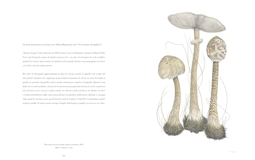 Illustrazione Botanica. Ediz. Illustrata - 14
