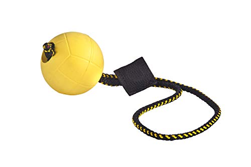 DINGO GEAR WWW.DINGOGEAR.COM 1977 S10017