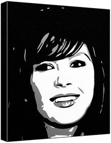 Catherine Zeta Jones (100% Original Painting. Not A Print ) Acrylic Paint On Deep Framed Canvas (60 x 50 x 1.8 cm) 3-Colour Black/Grey/White-image-33