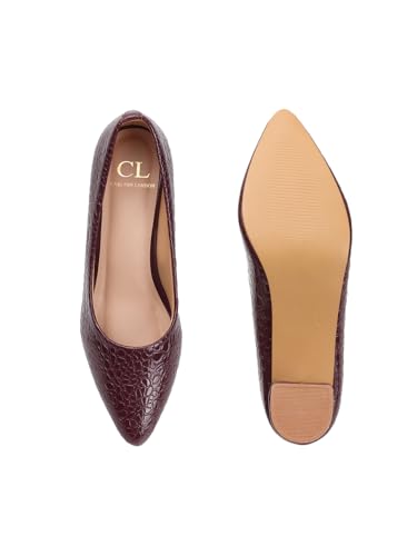 Image of Carlton London Women Stylish Slipon Pump Shoes with Block Heels, Pointed Toe for Party and Formal Occasions