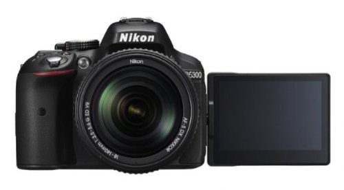 Image of Nikon D5300 24.2 MP Digital SLR Camera (Grey) with 18-55 VR Kit Lens, 8GB Card and Camera Bag