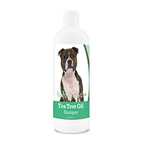 Healthy Breeds Staffordshire Bull Terrier Tea Tree Oil Shampoo – Formulated for Dry, Irritated Skin – Reduce Dandruff – Wintergreen Scent – 8 oz