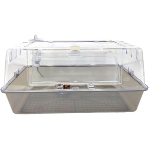 Vlfn nX^[ SʃNA S 傫  [߃gC ЎXCb` ̐^ K ֗ ϋv ʂǍD S[fnX^[ bg nlY~ ঒ p (O[)