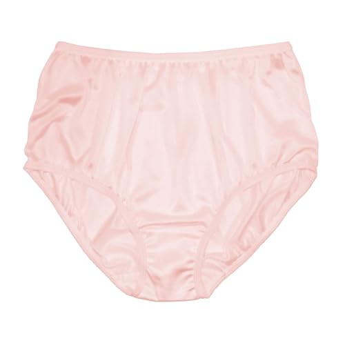 Teri Lingerie Women's 100% Nylon Full Coverage Panties