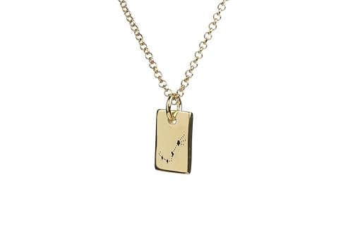 Collier pendentif scorpion gravé anti-ternissement en acier