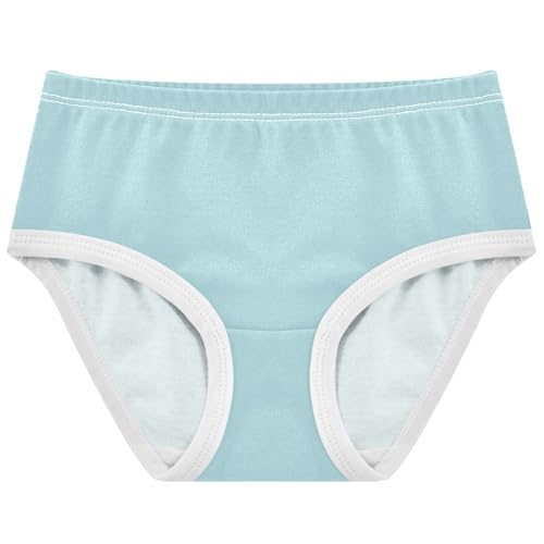 Joisal Girls Underwear Toddlers 2t Cotton Panties Little Girl Print Briefs Girls Undies Powder Blue