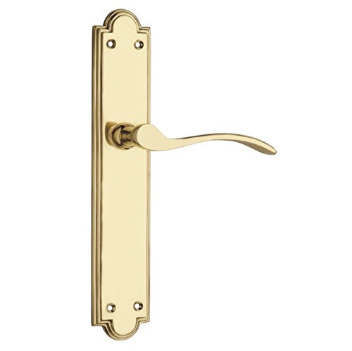 Kooples Hardware Nerva Door Handle on Backplate (241mm x 42mm) – Europrofile, Lock, Bathroom & Latch Variants (85mm Centres) (Lever Europrofile, Satin Chrome, 241mm x 42mm)