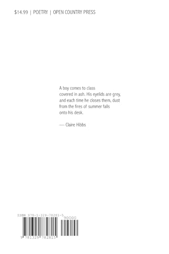 Verde Que Te Quiero Verde: Poems after Federico Garcia Lorca - Image 2