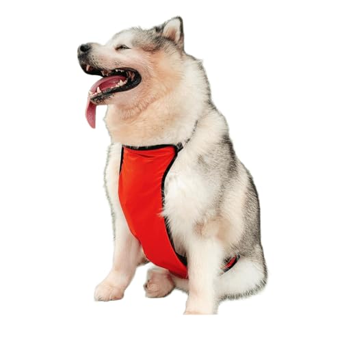 IUOUTG 大型犬用防水ベリーベスト、調整可能なペットベリー保護カバー 雌犬/雄犬用レインコート 雨の日のお散歩に -XL