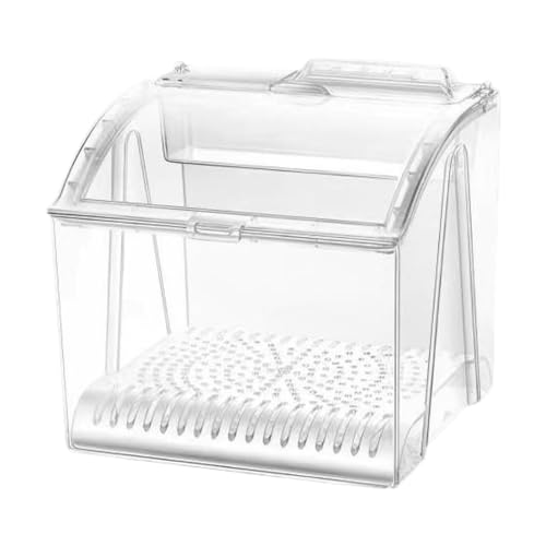 petsola p t[h{bNX I[vtg X^bLO\ XibNRei ƒp Ɩp