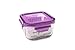 Wean Green Glass Food Storage Containers, Lunch Cube 16 Ounces, Garden Pack (4 Pack)