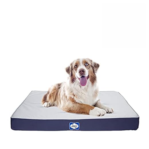 Sealy Dog Bed Defender Series, IPX5 Certified Indoor/Outdoor Dog Bed, Medium Grey (94598)
