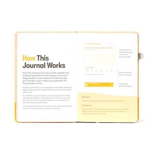 Journal de gratitude pour chasser les pensées négatives et ancrer la positivité