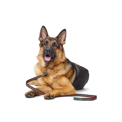 Hunter Visby Super Grip griffige Führleine für Hunde, schwimmfähig und reflektierend, 20/120, orange