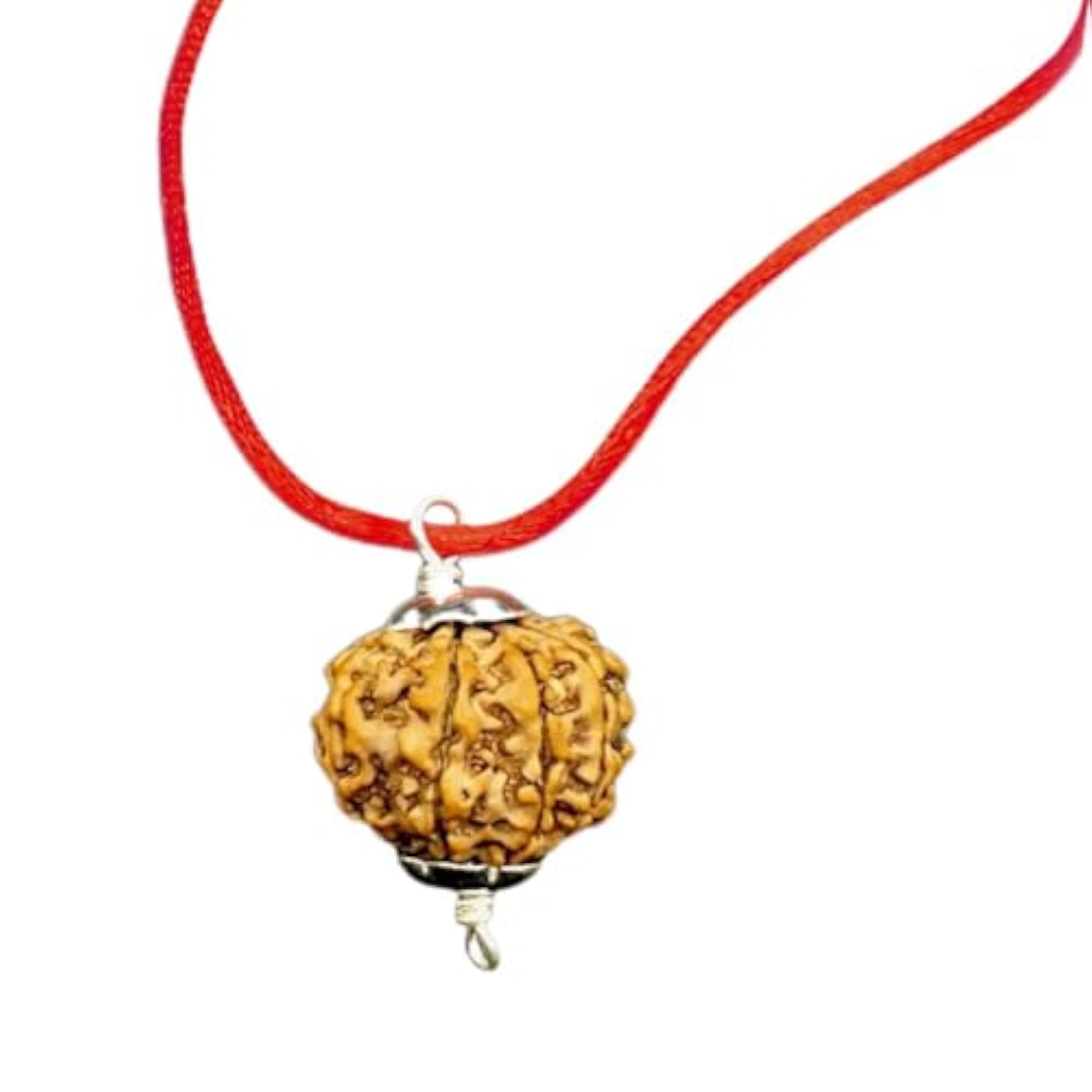 Natural 10 Mukhi Rudraksha Silver Pendant, Certified