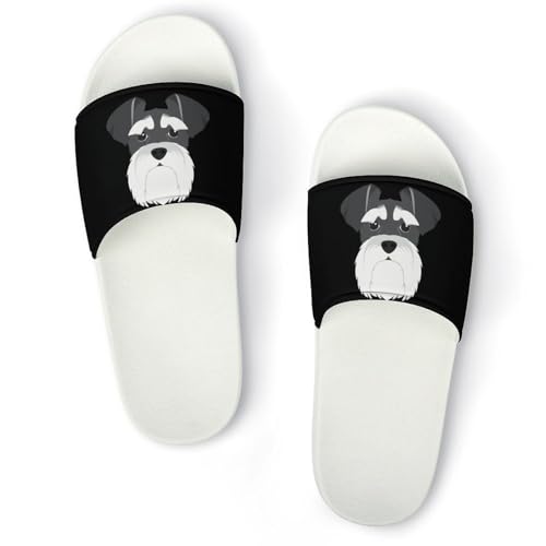 [RFSHOPQQ] �X���b�p ���� ���킢�� �V���i�E�U�[ �� ���O�p ���f�B�[�X �����Y ���[���V���[�Y �n�E�X�X���b�p ����~�ߕt �É� �y�� �t�ďH�p �j�����p ���l ���� ���q�p �����p 40(250mm)