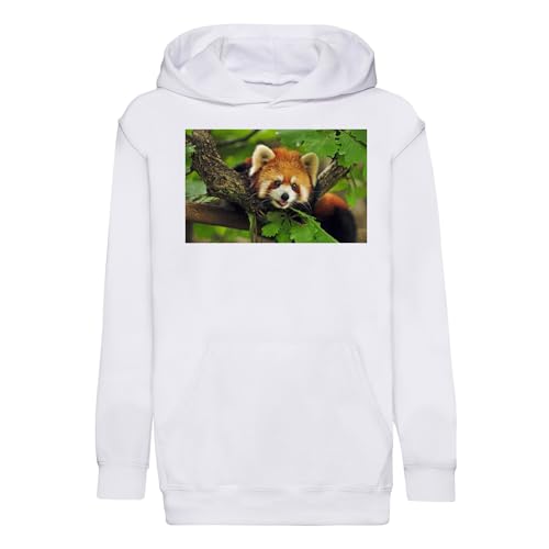 Sweat à capuche enfant panda roux trop mignon vêtement animal Chine