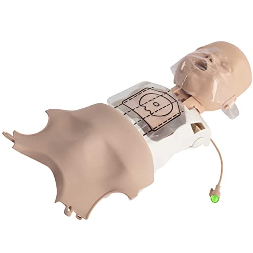 Image of MCR Medical - PRESTAN Ultralite CPR Manikin Bundle (4-Pack Adult, 4-Pack Infant), Medium Tone with UltraTrainer (4-Pack) & MCR Accessories