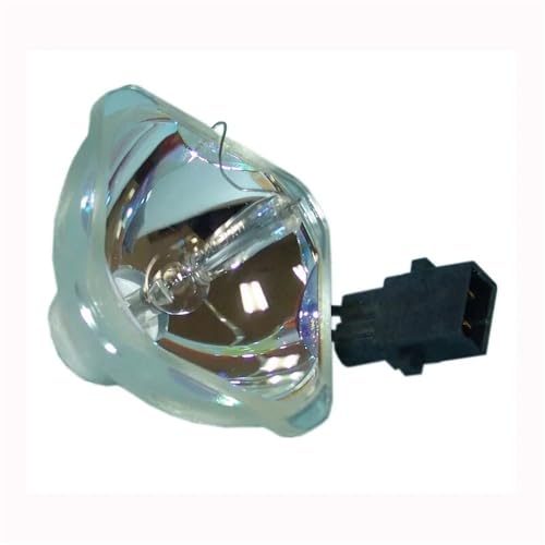 Lampe de projecteur EPSON ELPLP36 remplacez votre ampoule usée facilement