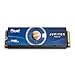 Fikwot FX910 M.2 SSD 500GB NVMe SSD, PCIe Gen4 Gaming SSD with Heatsink, Up to 7300MB/s, M2 2280 Internal Solid State Drive for PS5