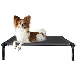 Starmark Dog Zone Bed Medium Charcoal