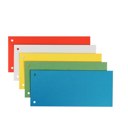 Leitz - Strisce divisorie in cartone pendarec, 180...