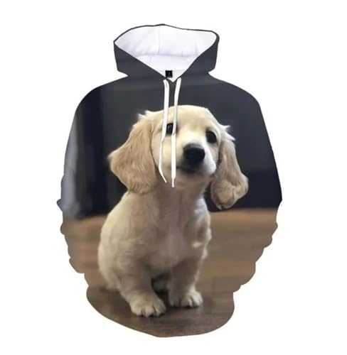 Pull à capuche teckel 3D aux finitions durables et coutures doublées