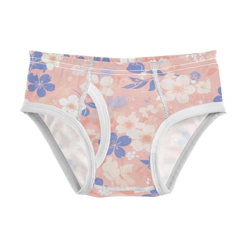 KLL Floral Lace Little Boys Pure Cotton Training Underwear Cute Children Undies - Main Image
