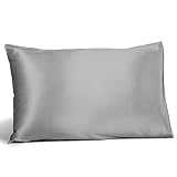 Fishers Finery 19mm 100% Pure Mulberry Silk Pillowcase, Good Housekeeping Quality Tested (Silver, K)