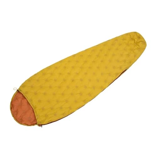 Q y AEghA LvX^C _bN_E gbLO spi 1(YELLOE 700G)