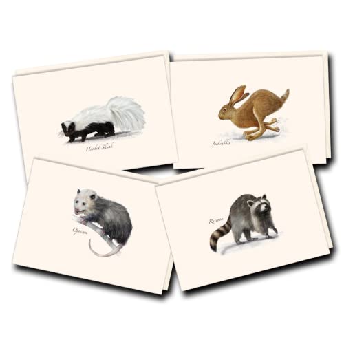 Cartes pour petit mammifère coffret de correspondance à offrir aux amoureux de nature