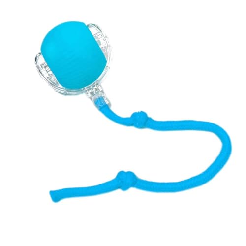 L̂{[ - ݕtɂ炩L{[A[vWv{[tZtG^[eCgc[AqL̐SIѐg̓I^AZtG^[eCgAyɍœK (C)