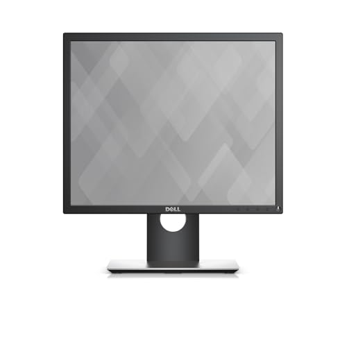Pantalla DELL P1917S con panel IPS antifatiga y conexiones HDMI VGA 2