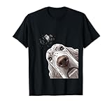 setter inglese bianco e arancio Cane curioso design inglese Setter Design.