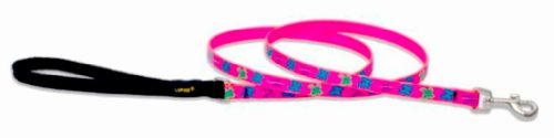 LupinePet Originals 1/2" Wing It 6-ft Padded Handle Leash