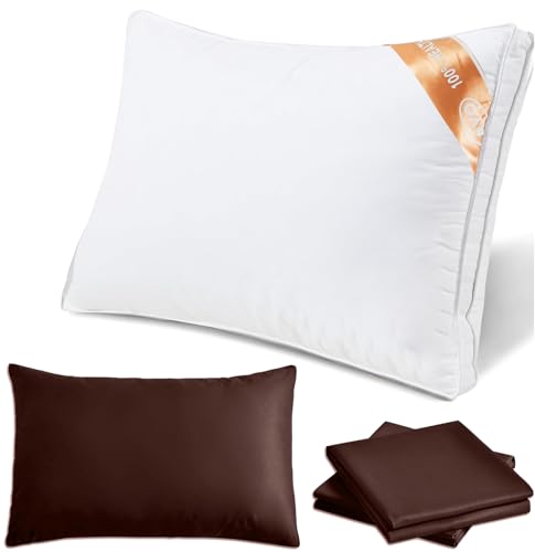 AYO  Jo[Q ܂ zedl   ې􂢉\ ̍\ ̓/̓/ãv[g (63*43*20CM uE)