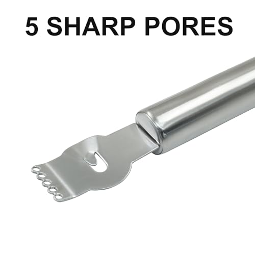 PHITUODA Lemon Zester Grater Stainless Steel Lemon Zester Tool with Channel Knife Orange Citrus Fruit Peeler