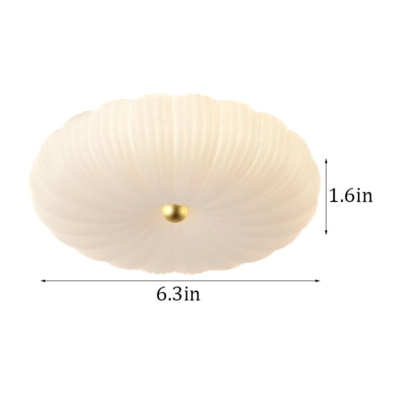 Plafonnier rond en fer pour dressing moderne et balcon abrité - 6