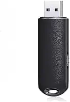 Mini gravador ativado por voz de 8 GB Unidade flash USB 2.0 dade de gravação de 96 horas Criptografia de arquivos Gravação de voz com um toque Stick Gravador de som para reuniões Trabalho Pales